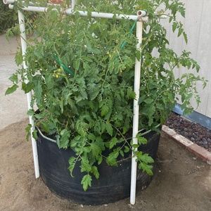 Meet your Posher, Deb